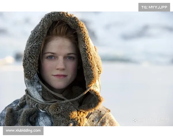 权谋游戏的攻略 权谋游戏的攻略